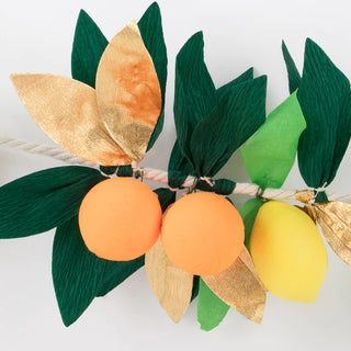 Citrus Fruit GarlandTransform your party room into a beautiful orchard with this gorgeous garland. It's the perfect way to instantly add fruity elegance to any celebration.

PolystyreneMeri Meri
