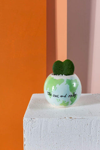 A small ceramic pot with a worldly design and the phrase "the one and only" holds a singular heart-shaped succulent, set against a dual-toned peach and coral background offering a modern, minimalistic appeal.