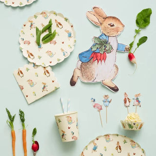 High quality Meri Meri Peter Rabbit™ Plates and napkins for your Easter party.