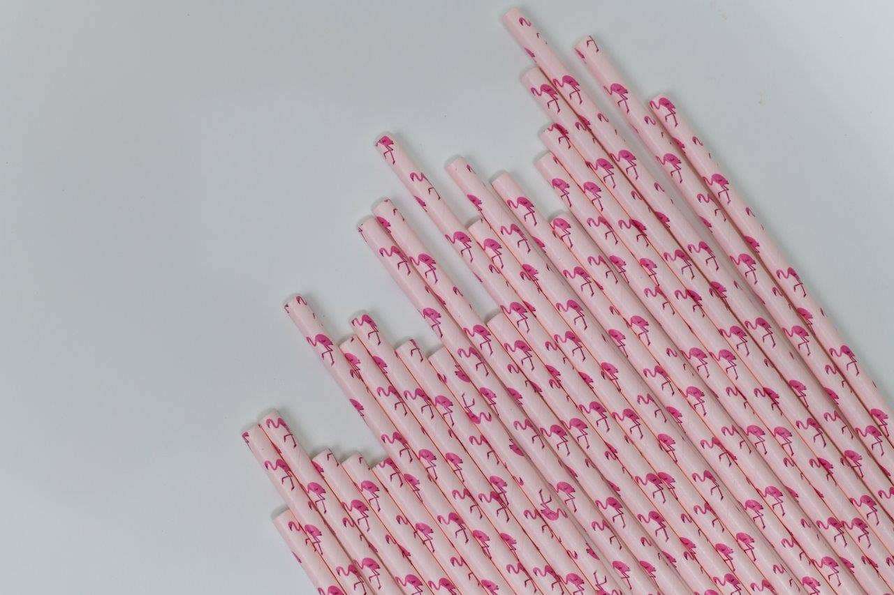 Flamingo Paper Straws – Sprinkle BASH
