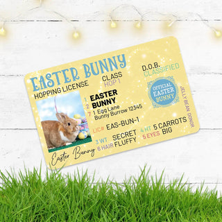 Easter Bunny Lost Hopping License