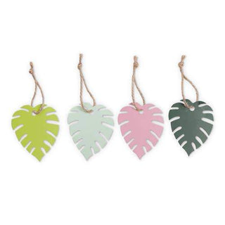 Assorted Monstera Tags